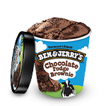 Ben & Jerry's Chocolate Fudge Brownie 